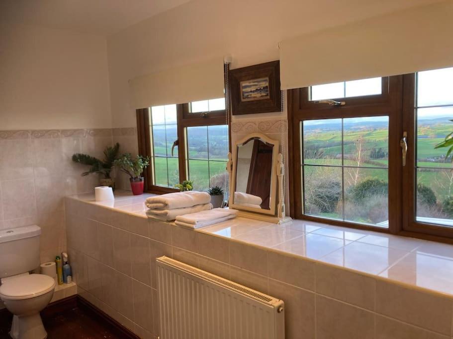 Bryntirion Farmhouse Rooms Llanfair Caereinion Buitenkant foto
